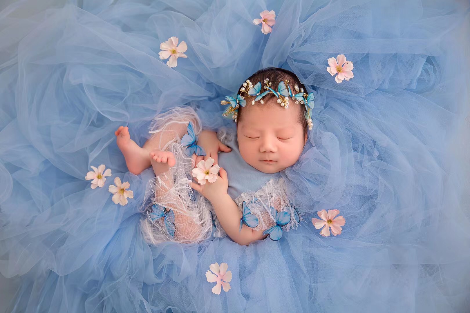 Neugeborenen Fotografie Requis – Photography Background Bewertung und Preis
