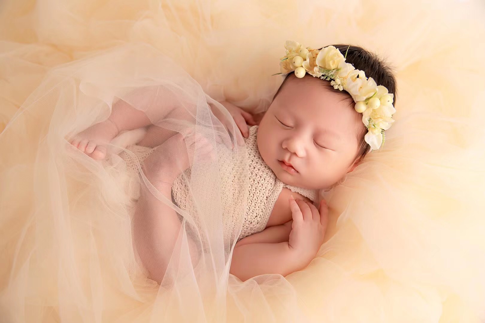 Neugeborenen Fotografie Requis – Photography Background Bewertung und Preis